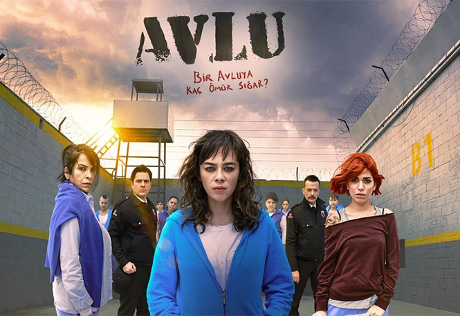 avlu-poster